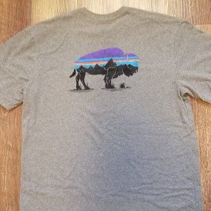 Patagonia T Shirt, size L